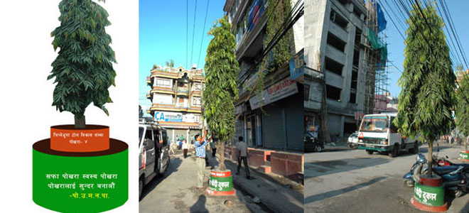 Tree-guard Tree guard