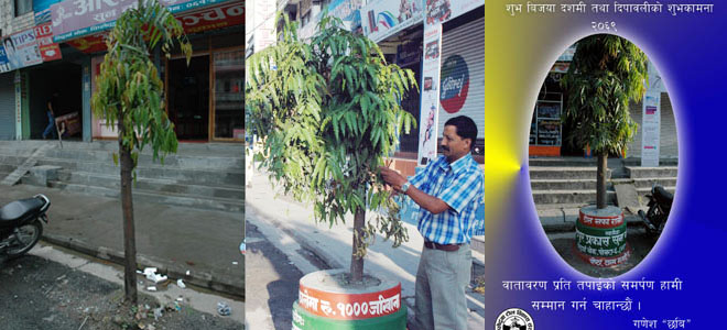 Tree-guard Tree guard