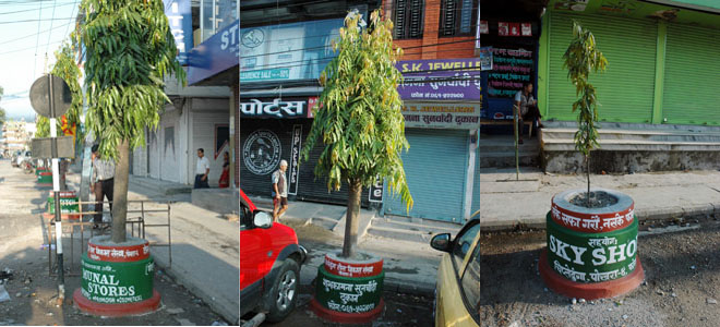 Tree-guard Tree guard