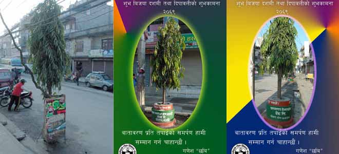 Tree-guard Tree guard